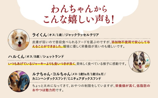 【GIBIEVERYシリーズ】鹿肉ジューシージャーキー 2個セット ｜ 犬用、ペットフード、おやつ、ジビエ、ペット、PET、ジャーキー、カット、健康、栄養、高タンパク、低脂質、鉄分、ビタミン、通販、お取り寄せ、国産、愛媛、鬼北町　※離島への配送不可