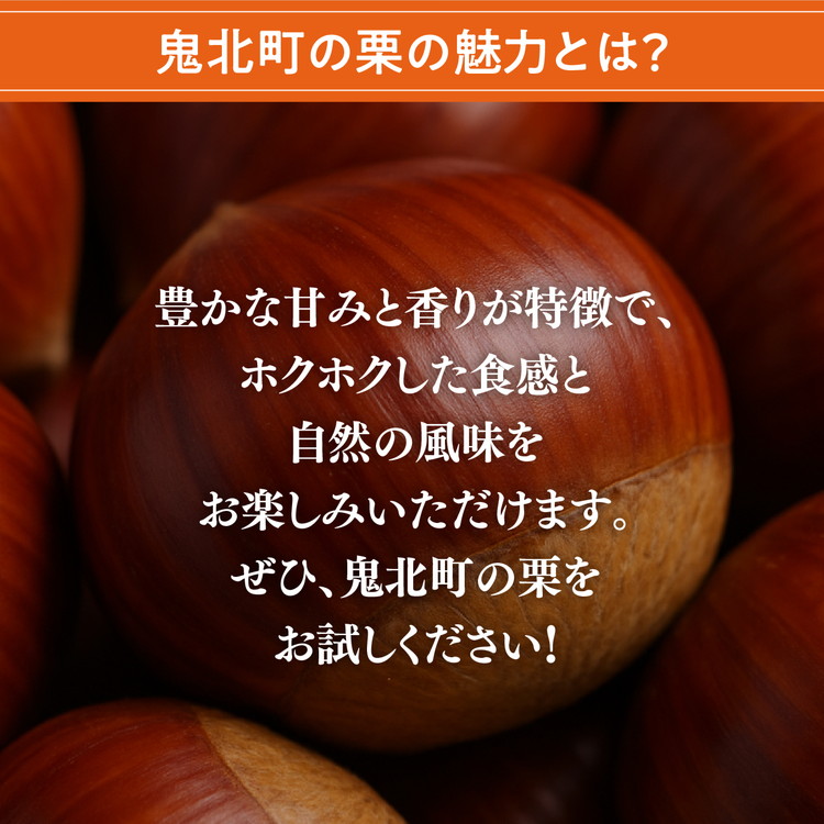ãé¬Œã®æ æŸãã鬌åçºç£ãã çŽ3kg ïœ å€§ç² çæ åæ åœç£æ å°åéå® äž¹æ³¢æ ãã æ æ ã飯 çæ æç© ãã«ãŒã å
è¡äºçŽ æ°ééå® JA ãã²ãå蟲æ¥ååçµå â»2026幎9æïœçºé