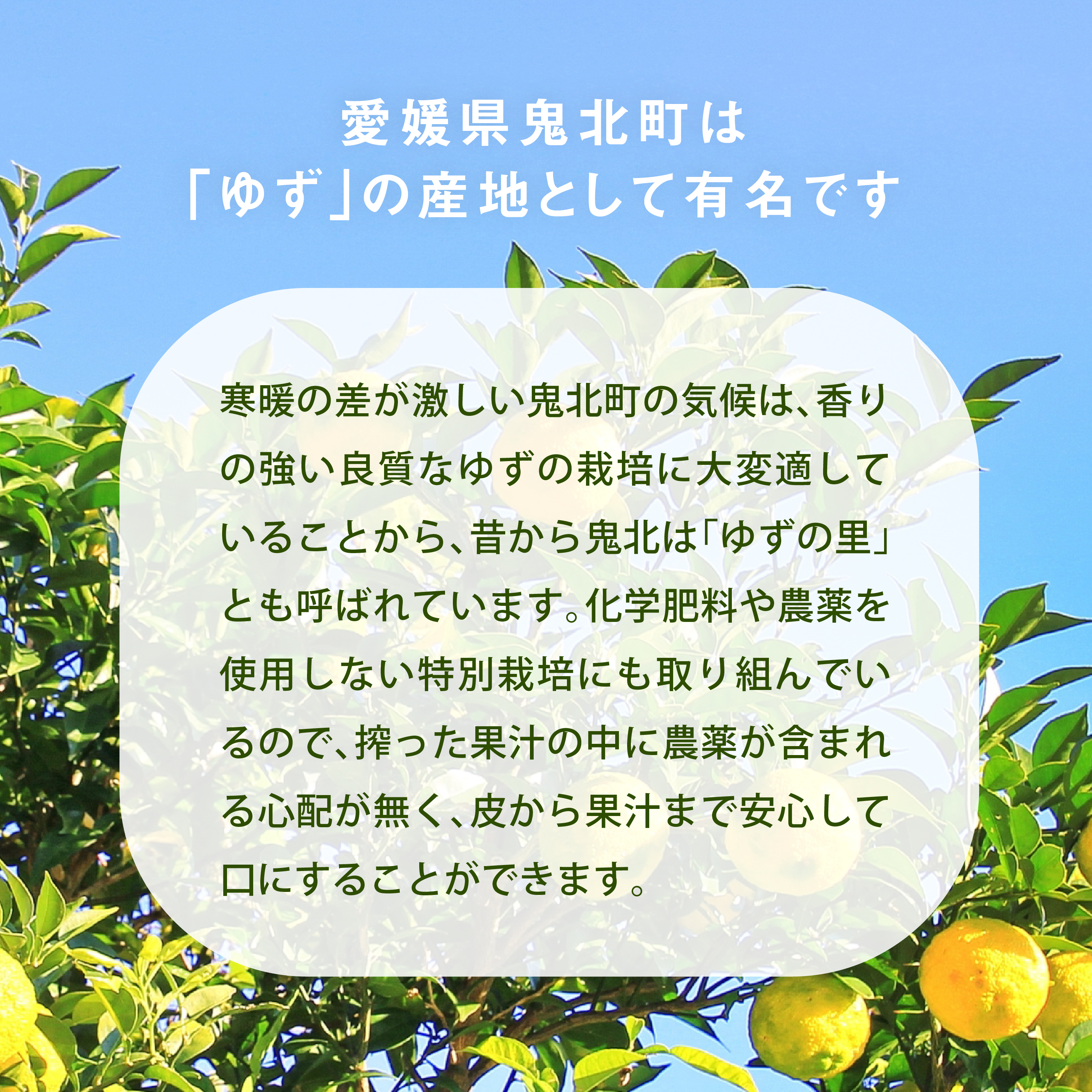 鬮倡伐蝠蠎励後f縺壹Μ繝ゥ繝繧ッ繧ケ繧サ繝繝医阪シ懈泅蟄 繝ヲ繧コ 繝舌せ繧ス繝ォ繝 蜈・豬エ蜑、 逋偵@ 鄒主ョケ 閠∬ 諢帛ェ帷恁 鬯シ蛹礼伴シ
