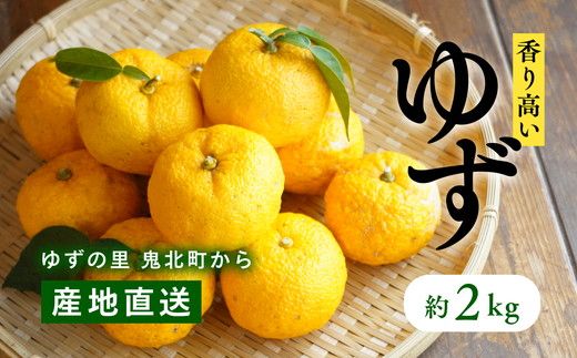 愛媛県鬼北町産ゆず　約2kg【 果物 柑橘 国産 日本産 香りが強い 良質なゆず ゆずの里 産地直送 ゆずジャム ゆず茶 】※2024年10月中旬～11月下旬頃に順次発送予定