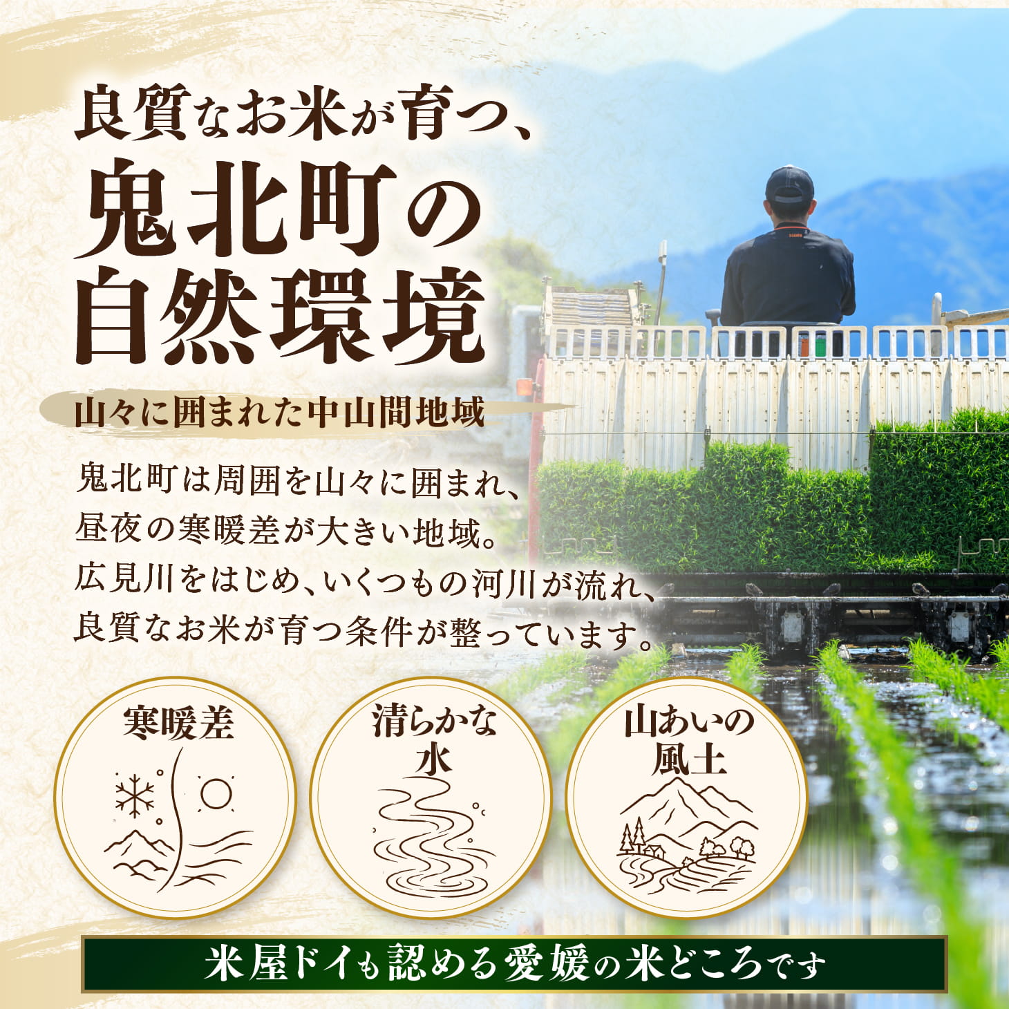 【先行予約】【令和8年産】鬼北町産 中平ファーム こしひかり 5kg 【米屋仕上げ】| R8年産 新米 精米 白米 ご飯 米 コシヒカリ お米のまつや 株式会社ドイ 愛媛県鬼北町