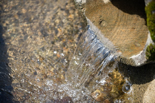 ããã«ããå°éåºåŸ¡çšéïŒãè€åããå®¶ã®ãã«ããŒã¯ã€ãŒã³5kgã什å7幎ç£ã ïœ ã飯 çœç±³ ãç±³ 5kg 什å7幎 å®æäŸ¿ 什å7å¹Žç£ ç²Ÿç±³æžã¿ æåªç鬌åçºãâ»2025幎9æäžæ¬é ããé æ¬¡çºéäºå®