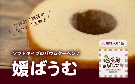 媛バウムクーヘン　洋菓子 ギフト お土産 ソフト スイーツ