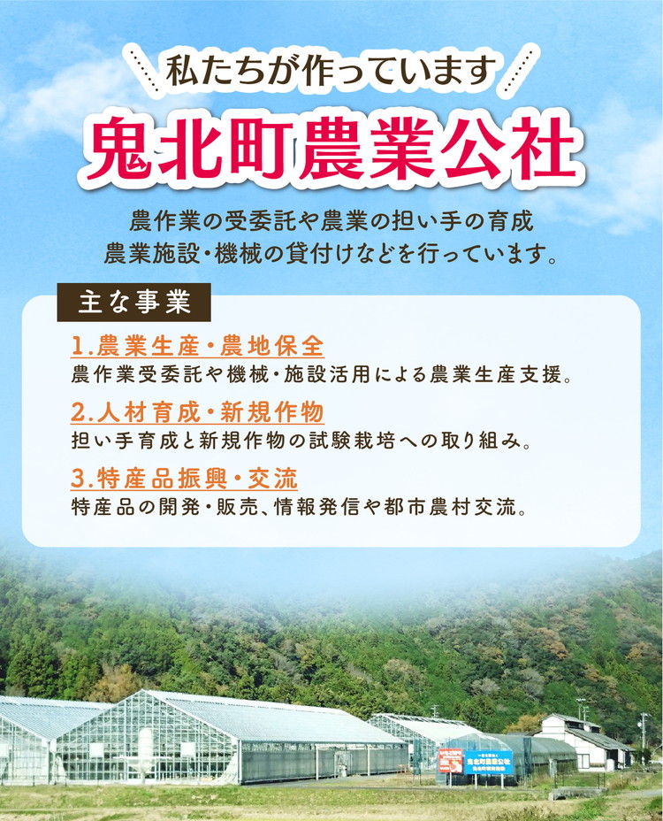 菌床しいたけ 900g（2L～3L）24個 ｜ 肉厚 収穫直後 新鮮 旨味たっぷり 菌床栽培 国産 きのこ キノコ 野菜 料理 食品 産地直送 自宅用 愛媛県鬼北町　※離島への配送不可　※2026年7月下旬頃までに順次発送予定