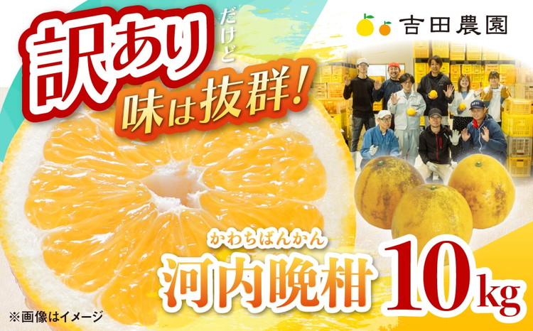 èš³ãã æ²³å
æ©æ10kgïŒå®¶åºçšïŒ ïŒ ææ© åžå° æç© åœç£ ãã«ãŒã ã¿ãã èæ èš³ãã å®¶åºçš å補 ã°ã¬ãŒããã«ãŒã ãã©ã³ã æåª æå® ãã¿ãã³ ïŒ â»2026幎4æäžæ¬ïœ8æäžæ¬é ã«é 次çºéäºå®