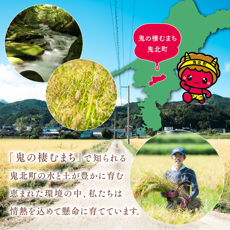 【R7年産】【愛媛県ブランド】ひめの凜 10kg（プレミアムクオリティ） ｜ お米 お米不足 お米品薄 おいしい お米 事業者支援 送料無料 白米 精米 国産 限定 ごはん ご飯 白飯 ゴハン 愛媛県産 鬼北町 ※2025年11月上旬より順次発送予定