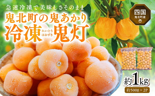 冷凍鬼あかり（ほおずき）500g×2パック ｜ 鬼灯 ホウズキ 特産品 冷凍 フルーツ ジャム 愛媛県 鬼北町