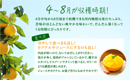 【先行予約】見た目だけが訳あり！吉本農園の木取り完熟愛南ゴールド（河内晩柑）約5kg＜柑橘 希少 果物 国産 フルーツ みかん 蜜柑 訳あり 家庭用 和製 グレープフルーツ ブランド 果実 ビタミン 愛媛県 鬼北町 ＞ ※2025年4月上旬～8月上旬頃に順次発送予定