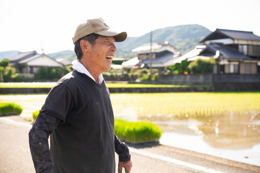 【令和8年産新米】【先行予約】谷口さん家のコシヒカリ 5kg | ご飯 白米 お米 5kg 令和8年産 精米済み 愛媛県鬼北町 ※離島への配送不可 ※2026年9月頃より順次発送予定