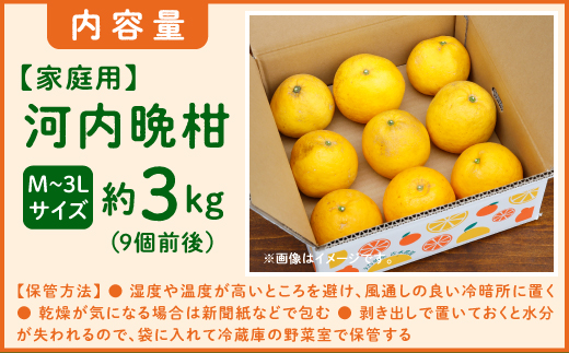 【先行予約】吉本農園の愛南ゴールド（河内晩柑）家庭用約3kg　＜柑橘 希少 果物 国産 フルーツ みかん 蜜柑  家庭用 和製 グレープフルーツ ブランド 果実 ビタミン 愛媛県 鬼北町＞ ※2025年4月上旬～8月上旬頃に順次発送予定