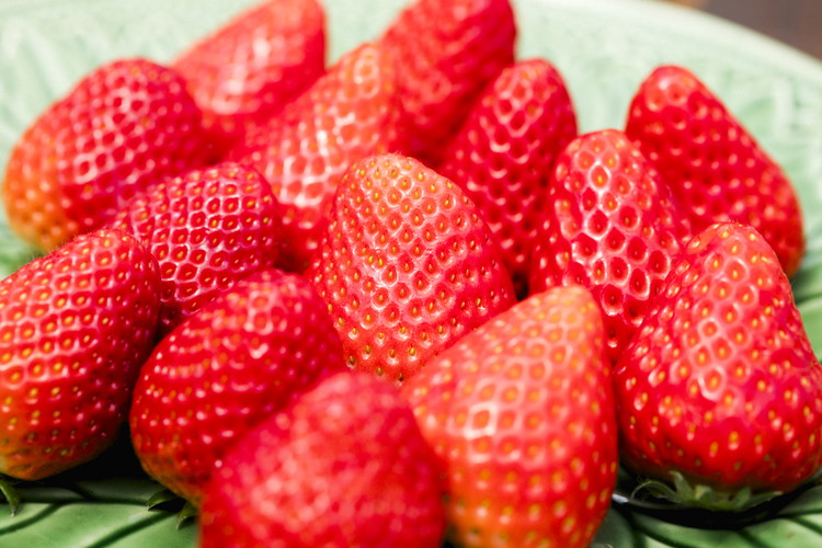 ã2026幎æ¥åç©«åããå
è¡äºçŽãçŽ
ã»ã£ãº 4ããã¯ïŒçŽ720gïŒ | ãã¡ã ã€ããŽ èº å€§çŠ ãžã£ã ã¿ã«ã ã¢ã€ã¹ ã±ãŒã ã®ãã ãããŸã€èŸ²å â»é¢å³¶ãžã®é
éäžå¯ â»2026幎2æäžæ¬é ããé æ¬¡çºéäºå®