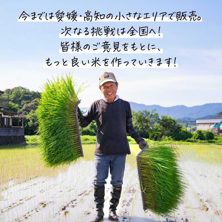 ã2ãµæå®æäŸ¿ãè°·å£ããå®¶ã®ã³ã·ãã«ãª èš10kgïŒ5kgÃ2åïŒ ïœ ã飯 çœç±³ ãç±³ 什å7幎 å®æäŸ¿ 什å7å¹Žç£ 10kg 粟米æžã¿ æåªç鬌åçº â»é¢å³¶ãžã®é
éäžå¯