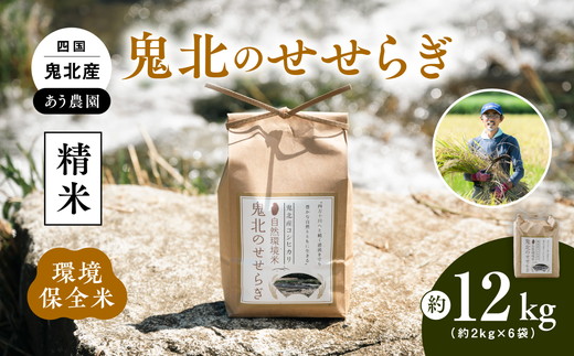 【令和6年産】【自然環境米】鬼北のせせらぎ2kg×6袋セット（鬼北産コシヒカリ） ｜ お米 お米不足 お米品薄 おいしい お米 事業者支援 送料無料 白米 精米 国産 限定 ごはん ご飯 白飯 ゴハン 愛媛県産 鬼北町＜米 コメ こめ 精米 お米 白米  コシヒカリ 環境に優しい こだわり 持続可能 愛媛県 鬼北町 ＞