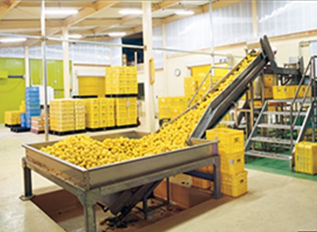 いのすやセット ｜ ゆず すだち 果物 加工品 ゆずのす 特産品 果汁お酢 ポン酢 調味料 添加物不使用ドレッシング 酎ハイベース ノンアルコール ジュース 愛媛県 鬼北町