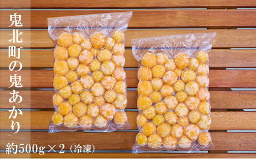 冷凍鬼あかり（ほおずき）500g×2パック ｜ 鬼灯 ホウズキ 特産品 冷凍 フルーツ ジャム 愛媛県 鬼北町