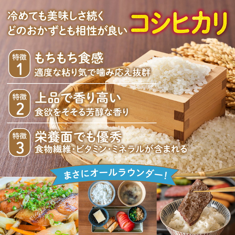 【令和8年産新米】【先行予約】谷口さん家のコシヒカリ 5kg | ご飯 白米 お米 5kg 令和8年産 精米済み 愛媛県鬼北町 ※離島への配送不可 ※2026年9月頃より順次発送予定