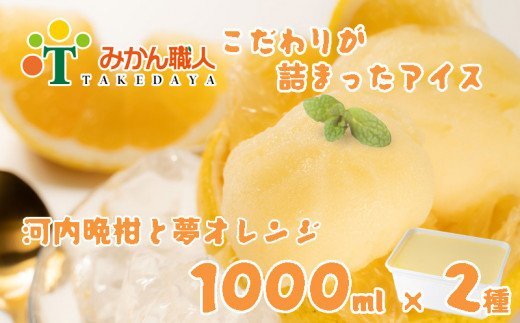 みかん職人が作った柑橘アイス1000ml×2種（夢オレンジ・河内晩柑）