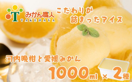 みかん職人が作った柑橘アイス1000ml×2種（愛媛みかん・河内晩柑）