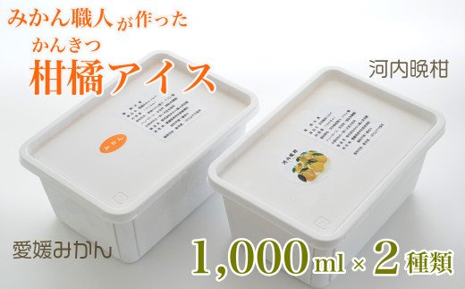 みかん職人が作った柑橘アイス1000ml×2種（愛媛みかん・河内晩柑）