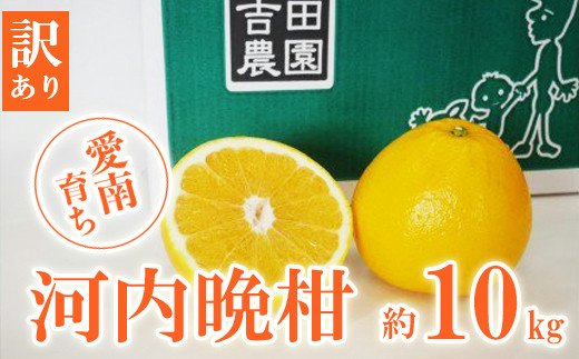 先行予約 訳あり 愛南育ち 吉田農園 愛南産の河内晩柑10kg 発送期間：2025年4月上旬～