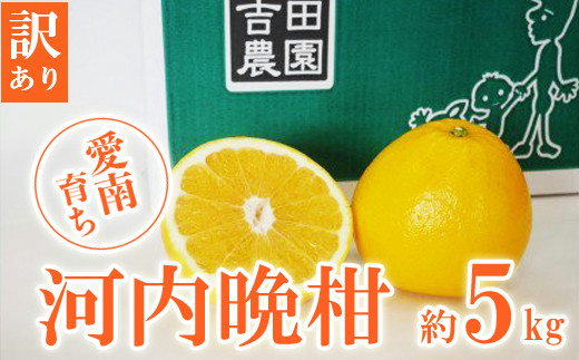 先行予約 訳あり 愛南育ち 吉田農園 愛南産の河内晩柑5kg 発送期間：2025年4月上旬～なくなり次第終了