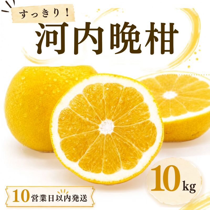 【10営業日以内発送】河内晩柑 ばんかん 約 10kg 家庭 柑橘 かんきつ フルーツ 果物 くだもの すぐ届く 早い 甘い さっぱり  厳選 愛媛 みかん 蜜柑 愛南 ご当地 ブランド 野菜 サラダ ピール ゼリー お菓子 デザート マルエム直販 愛媛県 愛南町