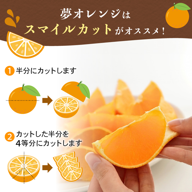 【訳あり】みかん職人の夢オレンジ 3kg【発送期間：11月中旬～1月下旬】 