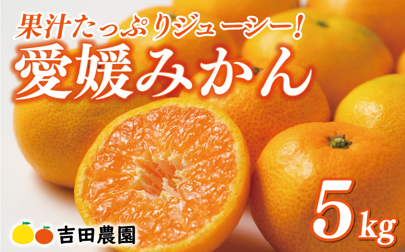 先行予約 愛媛みかん 5kg 12000円 愛媛 みかん 温州みかん こたつ みかん mikan 蜜柑 ミカン 家庭用 贈答用 ギフト プレゼント お歳暮 産地直送 国産 農家直送 糖度 期間限定 数量限定 特産品 ゼリー ジュース アイス 人気 限定 甘い フルーツ 果物 柑橘 先行 事前 予約 受付 ビタミン 美味しい おいしい 愛南町 愛媛県 吉田農園