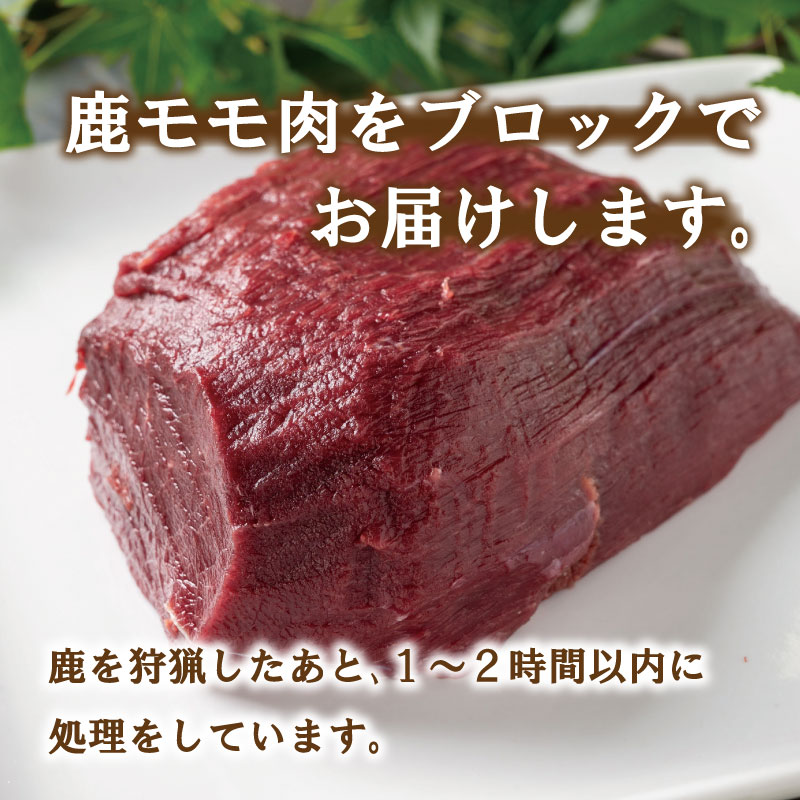 愛南ジビエの鹿モモ肉 1kg