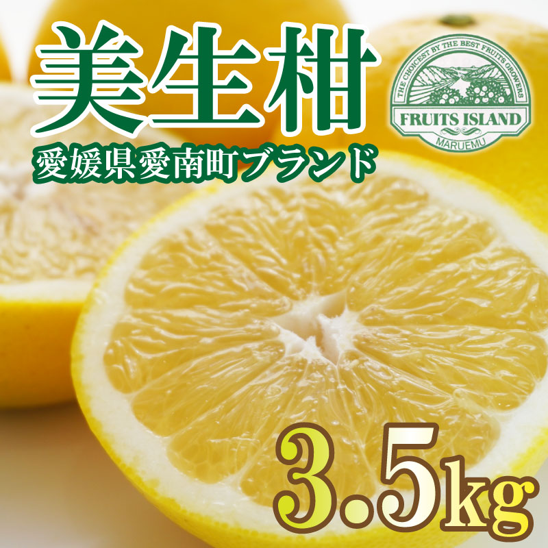 フルーツアイランド・マルエム青果の美生柑(みしょうかん) 3.5kg (なくなり次第終了)