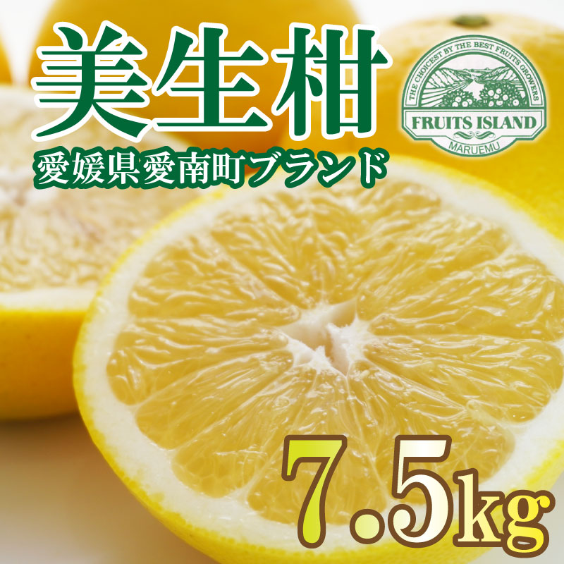 フルーツアイランド・マルエム青果の美生柑(みしょうかん) 7.5kg (なくなり次第終了)