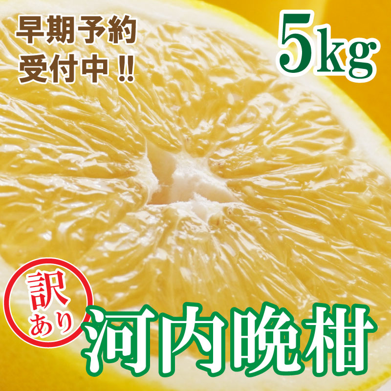 【訳あり】フルーツアイランド・マルエム青果の河内晩柑 5kg (なくなり次第終了)