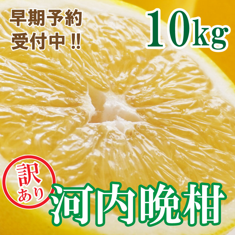 【訳あり】フルーツアイランド・マルエム青果の河内晩柑 10kg (なくなり次第終了)