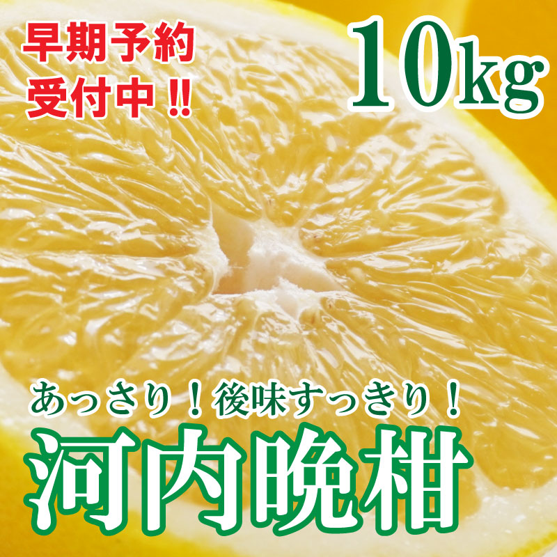フルーツアイランド・マルエム青果の河内晩柑 10kg (なくなり次第終了)