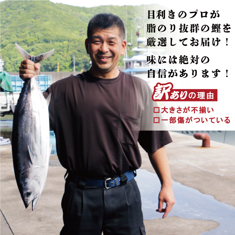 【高評価】 訳あり かつおのたたき 期間限定 2.5kg 10000円 一万円 鰹のたたき カツオのたたき カツオのタタキ かつおのたたき 鰹のタタキ 鰹のたたきカツオたたき 鰹たたき ふるさと ふるさと納税 訳あり 訳アリ わけあり ワケアリ かつお カツオ 鰹 かつおたたき 鰹タタキ カツオたたき かつおタタキ サイズ 不揃い 規格外 傷 小分け 真空 パック 新鮮 鮮魚 天然 鰹 四国一 水揚げ タタキ 肉 厚 冷凍 大容量 人気 ハマスイ 愛南町 愛媛県 愛南町 愛媛県