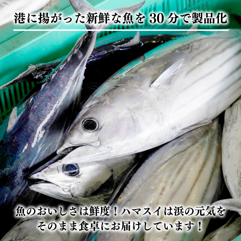 【高評価】 訳あり かつおのたたき 期間限定 2.5kg 10000円 一万円 鰹のたたき カツオのたたき カツオのタタキ かつおのたたき 鰹のタタキ 鰹のたたきカツオたたき 鰹たたき ふるさと ふるさと納税 訳あり 訳アリ わけあり ワケアリ かつお カツオ 鰹 かつおたたき 鰹タタキ カツオたたき かつおタタキ サイズ 不揃い 規格外 傷 小分け 真空 パック 新鮮 鮮魚 天然 鰹 四国一 水揚げ タタキ 肉 厚 冷凍 大容量 人気 ハマスイ 愛南町 愛媛県 愛南町 愛媛県