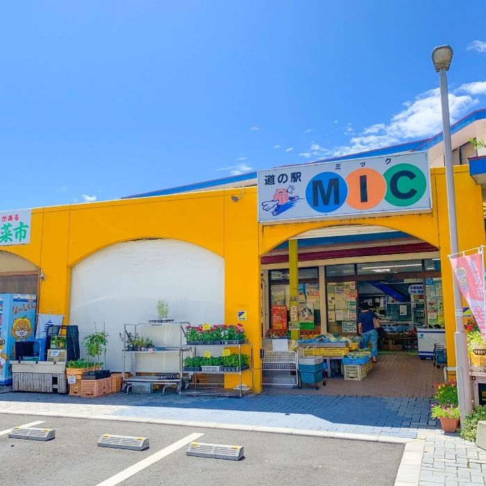 諢帛漉繧エ繝シ繝ォ繝 繝峨Ξ繝繧キ繝ウ繧ー 190ml テ 4譛ャ 繧サ繝繝 譟第ゥ倬。 豐ウ蜀譎ゥ譟 縺ソ縺九s 隱ソ蜻ウ譁 驕薙ョ鬧縺ソ縺励g縺MIC 莠コ豌 諢帛ェ帷恁 諢帛漉逕コ