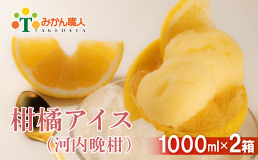 みかん職人が作った柑橘アイス1000ml×2（河内晩柑×２）