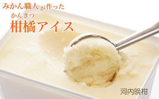 みかん職人が作った柑橘アイス1000ml×2（河内晩柑×２）