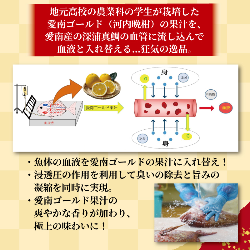 【チョイスアワード大賞受賞】【ESSEグランプリ金賞受賞】 訳あり 愛南ゴールド 真鯛 合計約 500g 刺身用柵 ＋ 鯛カマ 藻塩 付き タイ 河内晩柑 みかん 柑橘 不揃い 小分け 真空パック 鯛 新鮮 海鮮 魚介 鮮魚 養殖 カマ 皮引き 柵 柑橘 10000円 刺身 刺し身 さしみ しゃぶしゃぶ 鯛しゃぶ 寿司 カマ 塩焼き 冷凍 お食い初め ハレの日 お祝いごと ハマスイ 愛南町 愛媛県