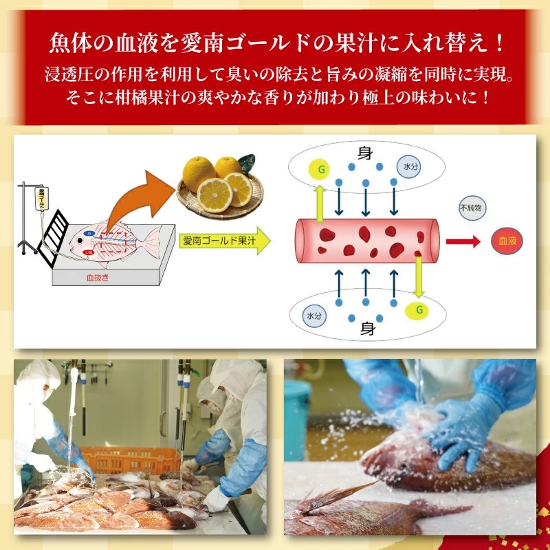 【チョイスアワード大賞受賞】【ESSEグランプリ金賞受賞】 訳あり 愛南ゴールド 真鯛 合計約 500g 刺身用柵 ＋ 鯛カマ 塩 オリーブオイル ソース 付き タイ 河内晩柑 みかん 柑橘 不揃い 小分け 真空パック 鯛 新鮮 海鮮 魚介 鮮魚 養殖 カマ 皮引き 柵 柑橘 10000円 刺身 刺し身 さしみ しゃぶしゃぶ 鯛しゃぶ 寿司 カマ 塩焼き 冷凍 お食い初め ハレの日 お祝いごと ハマスイ 愛南町 愛媛県