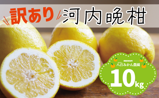 ãå
è¡äºçŽã èš³ãã æ²³å
æ©æ 10kg <çºéæéïŒ2027幎4æäžæ¬ïœç¡ããªã次第çµäº> å
«çŸã¿ãã蟲å ã® ããã¡ã°ããã 10000å å®¶åºçš å
è¡ äºå äºçŽ åä» ã¿ãã æåãŽãŒã«ã çŸçæ ææŠ ã°ã¬ãŒããã«ãŒã å補 é²è
å€äžäœ¿çš æåª ç£å°çŽé åœç£ 蟲家çŽé ç³åºŠ ææš¹å æééå® æ°ééå® ç¹ç£å ãžã¥ãŒã¹ äººæ° éå® æå æ°é®® ãããã çã ãã«ãŒã æç© ææ© èæ
