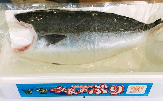 5kg 以上 の 久良 の ぶり 半身 フィレタイプ × 2枚 42000円 ぶり 鰤 ぶりしゃぶ 鰤しゃぶ ブリ たたき 丸ごと 1本 年末 年始 国産 特産品 魚介類 海産物 まるごと 刺身 鮮魚 養殖 フィレ 片身 真空 パック 冷蔵 海鮮 魚介 ブランド 魚 ぶりしゃぶ しゃぶしゃぶ 刺し身 海鮮丼 産地直送 すぶり お歳暮 年末年始 久良漁業協同組合 愛南町 愛媛県