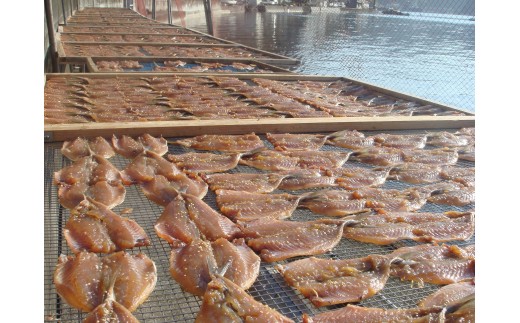 ス樊帛漉荳ク縺ョ雋。螳晢ス槫ケイ迚ゥ縺ィ蜻ウ蝎梧シャ縺代ョ隧ー繧∝粋繧上○縲窟縲阪そ繝繝(10鬟溷)