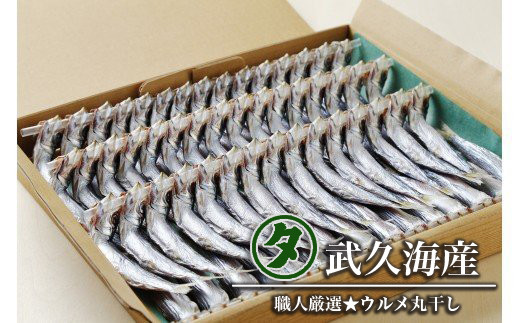 ウルメ丸干し 14～15尾 5～6竿 鰯 いわし おつまみ 珍味 魚 海鮮 グルメ ギフト 酒 ビール 日本酒 焼酎 贈り物 国産 愛媛 愛南町