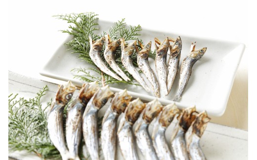 ウルメいわし タレ・丸干しセット 14～18尾 5パック 鰯 いわし おつまみ 珍味 グルメ 魚 海鮮 ギフト 酒 ビール 日本酒 焼酎 贈り物 国産 愛媛 愛南町