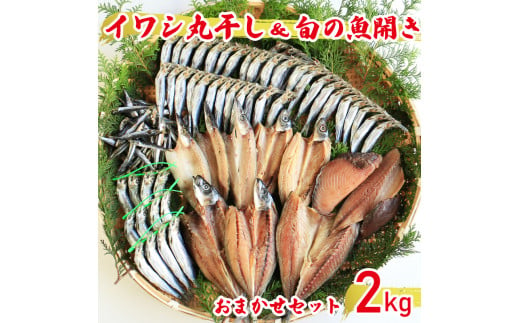 【訳あり】魚の丸干し＆開き おまかせセット2kg 魚 海鮮 干物 ひもの 丸干し 切り身 おつまみ おかず 人気 珍味 グルメ 規格外 国産 武久海産 愛媛 愛南