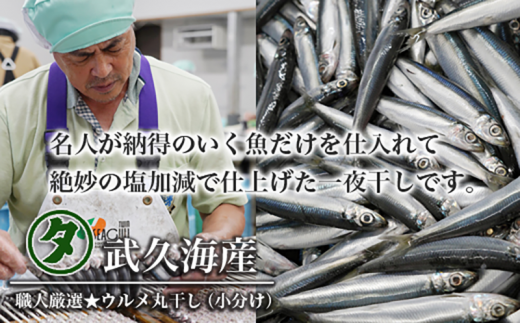 【訳あり】魚の丸干し＆開き おまかせセット2kg 魚 海鮮 干物 ひもの 丸干し 切り身 おつまみ おかず 人気 珍味 グルメ 規格外 国産 武久海産 愛媛 愛南