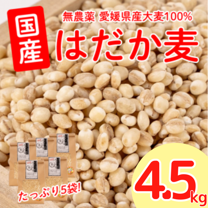 はだか麦 900g 5個セット