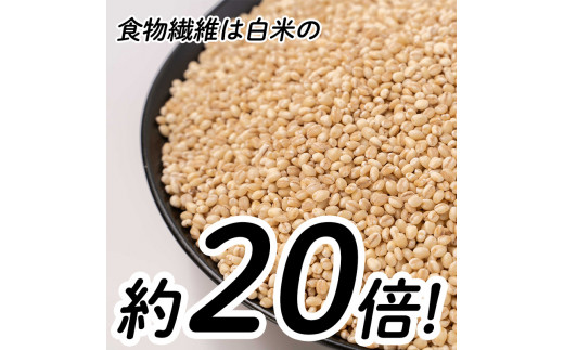 はだか麦 900g 5個セット